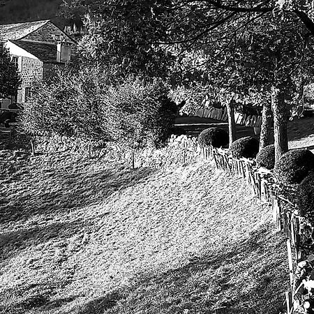 Berard Bed & Breakfast Saint-Julien-d'Intres Exterior photo